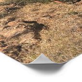 Das Fenster - Big Bend, Texas Poster (Ecke)