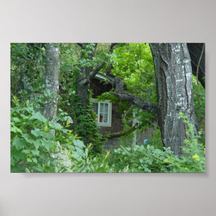 Das Fenster der Natur Poster