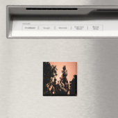 Das Feuer im Indischen Tal......... Magnet (In Situ (Geschirrspüler))