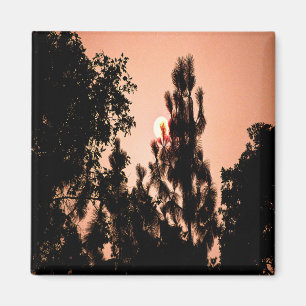 Das Feuer im Indischen Tal......... Magnet