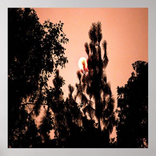 Das Feuer im Indischen Tal....... Poster (Vorne)