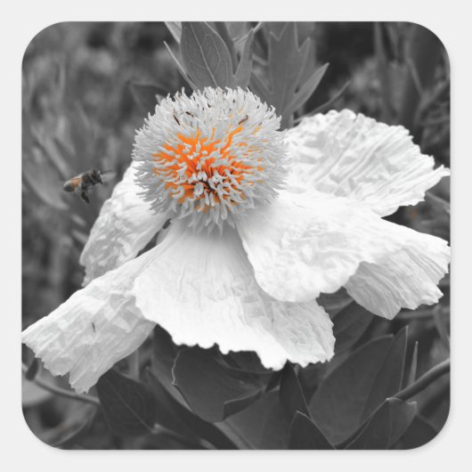 Das Feuer im Inneren Quadratischer Aufkleber (Vorderseite)