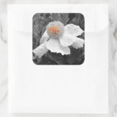 Das Feuer im Inneren Quadratischer Aufkleber (Tasche)