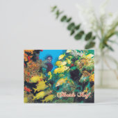 Das Florida-Riff in den Florida-Keys Postkarte (Stehend Vorderseite)