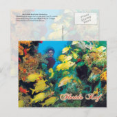 Das Florida-Riff in den Florida-Keys Postkarte (Vorne/Hinten)