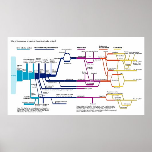 Das Flowchart des amerikanischen Strafjustizsystem Poster (Vorne)