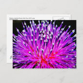 Das Flüsschen auf den Hinterwegen des Texas Hill C Postkarte (Vorne/Hinten)