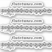 Das flutetunes.com Logo Aufkleber (Vorderseite)