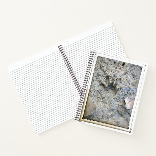 Das Foot-Uni-Ruled-Notebook des Frogs Notizblock (Innenseite)