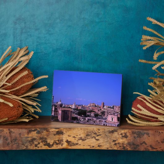 Das Forum Rom Fotoplatte (Seite)