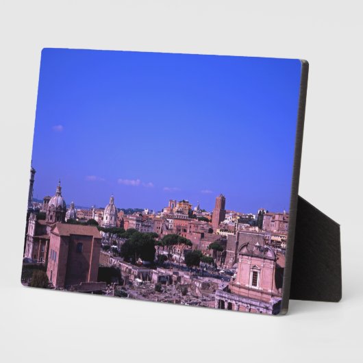 Das Forum Rom Fotoplatte (Seite)