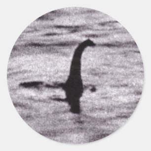 Das Foto-Aufkleber des Chirurgen Runder Aufkleber