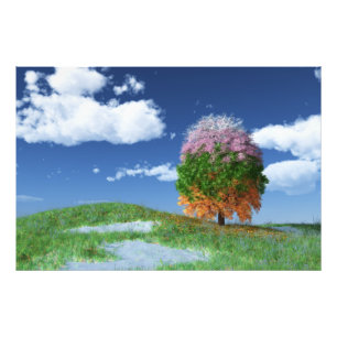 Das Foto der Jahreszeit