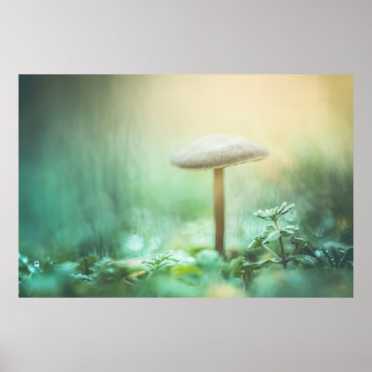 Das Foto der magischen Natur Poster (Vorne)
