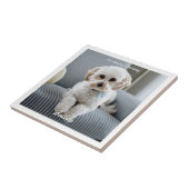 Das Foto Ihres Hundes, der Name des Skripts, in de Fliese (Seite)