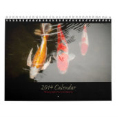 Das Foto-Kalender 2014 des Amys (alt) Kalender (Titelbild)