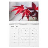 Das Foto-Kalender 2015 des Amys Kalender (Mär 2027)