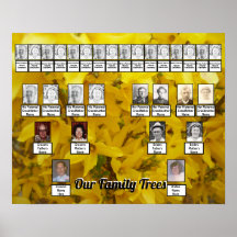 Das Foto von Forsythia Bush wird von zwei Familien