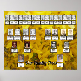 Das Foto von Forsythia Bush wird von zwei Familien Poster