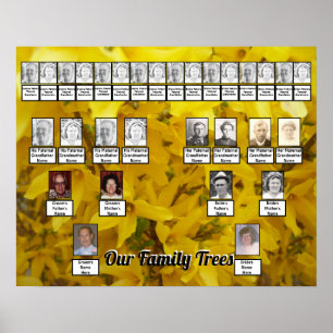Das Foto von Forsythia Bush wird von zwei Familien Poster