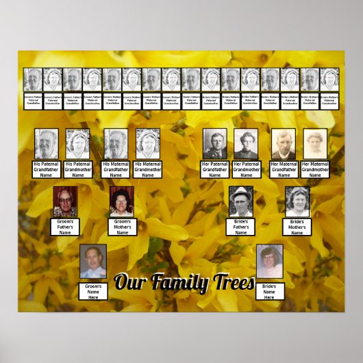 Das Foto von Forsythia Bush wird von zwei Familien Poster (Vorne)