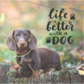 Das Foto von Haustieren ist besser mit einem Hund Aufkleber (Vorderseite)