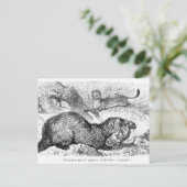 Das Frettchen Postkarte (Stehend Vorderseite)