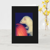 Das Frettchen und der Kürbis Karte (Gelbe Blume)