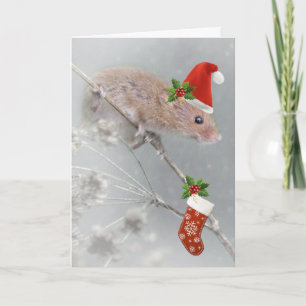 Das ganze Set für die Weihnachtskarte Feiertagskarte