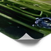 Das Gartenfahrrad Poster (Ecke)