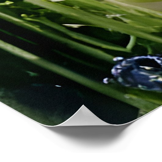 Das Gartenfahrrad Poster (Ecke)