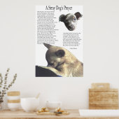 Das Gebet eines Stray Hundes (alternative Hintergr Poster (Küche)
