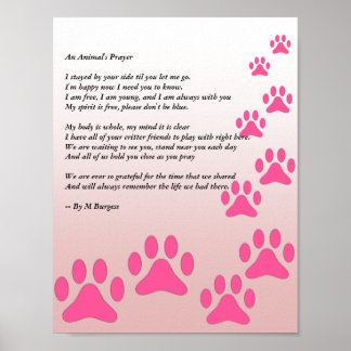 Das Gebet eines Tieres - rosa Paws - Poster