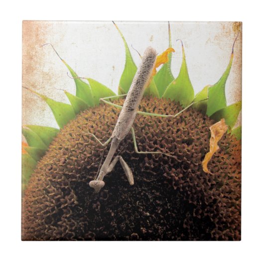 Das Gebet um Sonnenschein Fliese (Vorderseite)