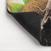 Das Gebet um Sonnenschein Mousepad (Ecke)