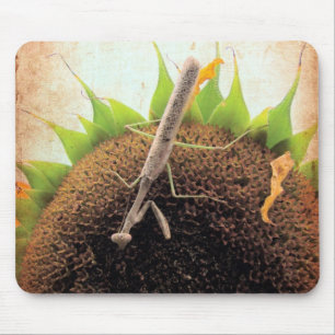 Das Gebet um Sonnenschein Mousepad