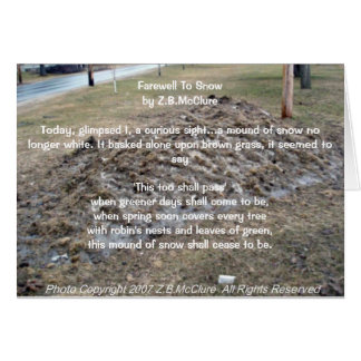 das Gedicht des Snowbirds