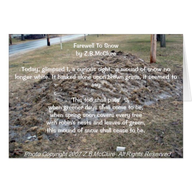 das Gedicht des Snowbirds (Vorderseite (Horizontal))