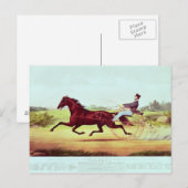 Das gefeierte Pferd, George M. Patchen Postkarte (Vorne/Hinten)