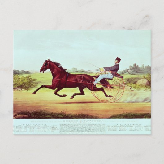 Das gefeierte Pferd, George M. Patchen Postkarte (Vorderseite)
