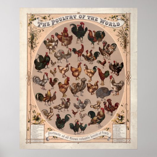 Das Geflügel der Vintagen Hühnerzucht der Welt Poster (Vorne)