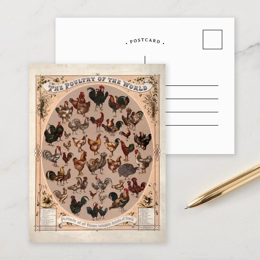 Das Geflügel der Vintagen Hühnerzucht der Welt Postkarte