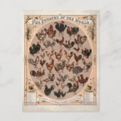 Das Geflügel der Vintagen Hühnerzucht der Welt Postkarte (Vorderseite)