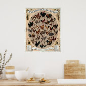 Das Geflügel der Welt Poster (Küche)