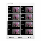 Das gefürchtete Rosa erstickt (Vorne)