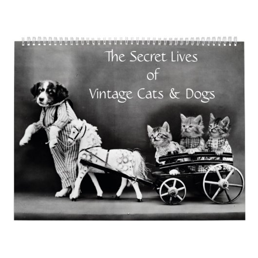 Das geheime Leben Vintager Katzen und Hunde Kalender (Titelbild)