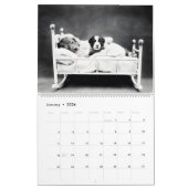 Das geheime Leben Vintager Katzen und Hunde Kalender (Jan 2026)
