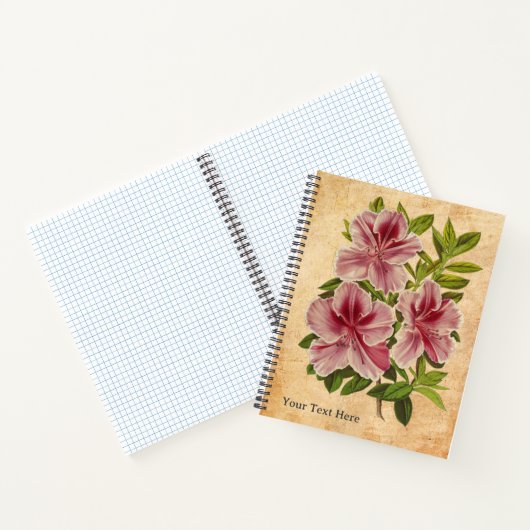 Das geheime Notebook des Azalea Notizblock (Innenseite)