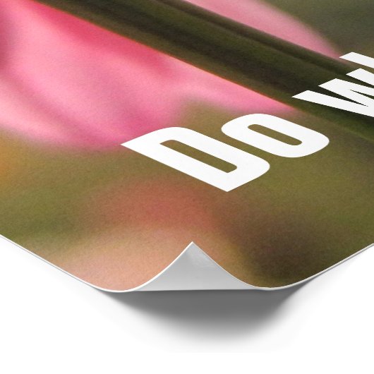 Das Geheimnis für Glückspilster Poster (Ecke)