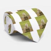 Das Geheimnis Krawatte (Gerollt)